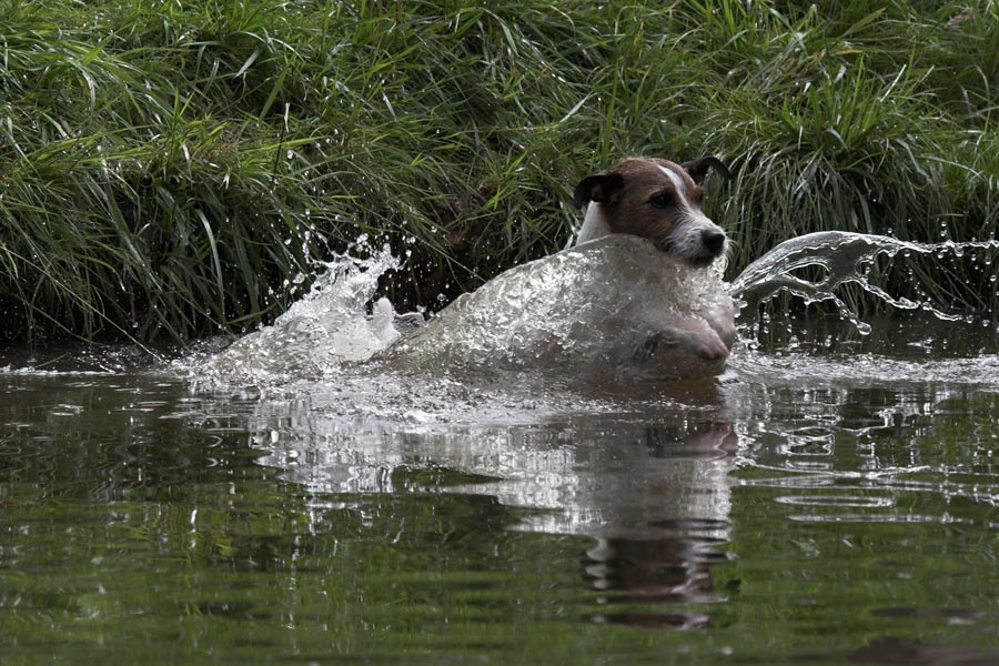 Emil geht baden...