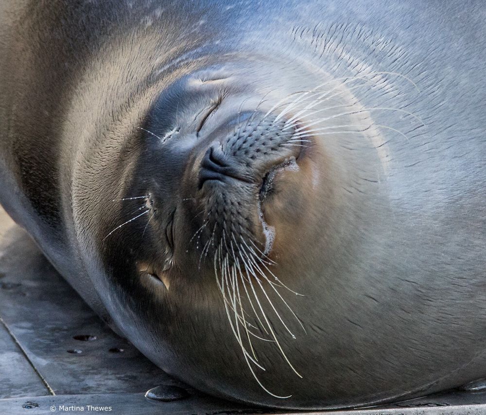 Emil im Saarbrücker Zoo