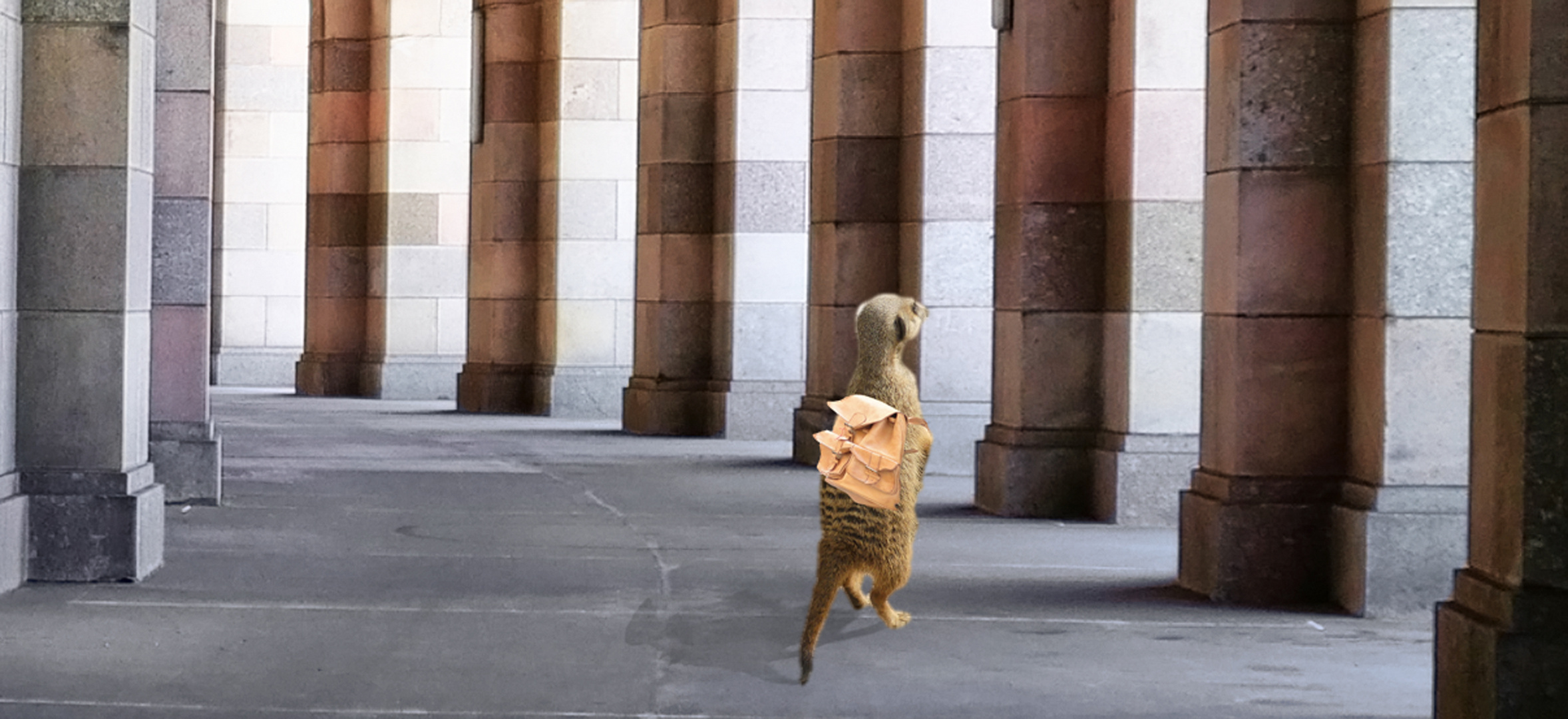 Emil in der Kongresshalle