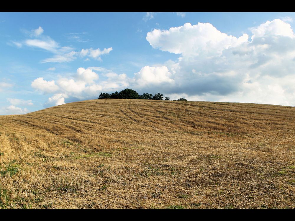 Emilia Romagna