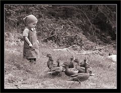 Emily und die Enten...