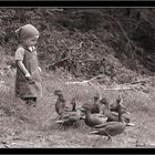 Emily und die Enten