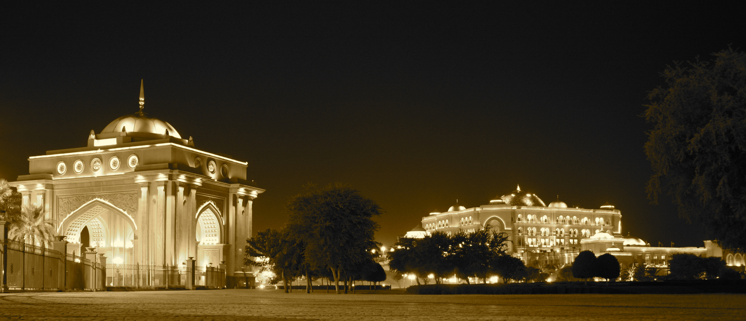 Emirate Palace by Night