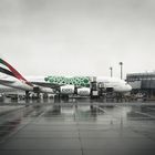 *EMIRATES A380-800 A6-EEW*