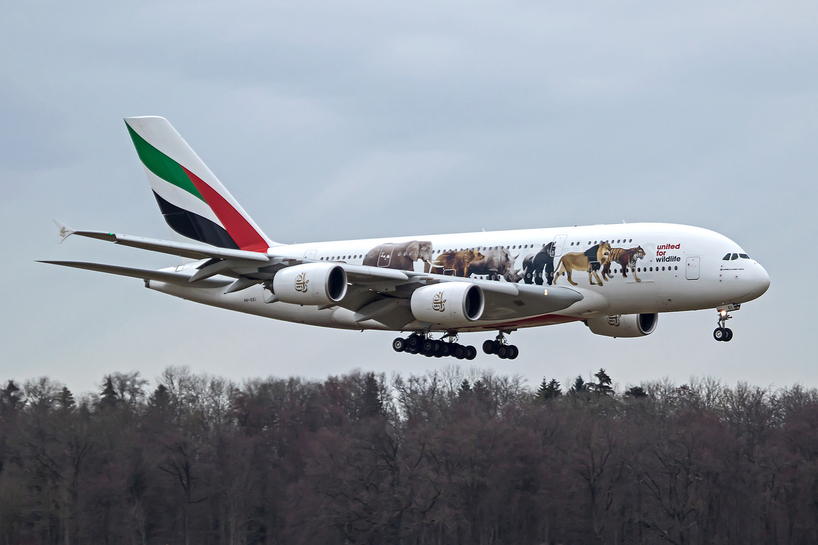 Emirates A380, A6-EEI. United for Animals Livery