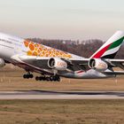 Emirates A380