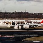 Emirates AIRBUS A 380 "United for Wildlife"