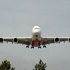 Emirates Airbus A380