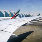 Emirates Terminal