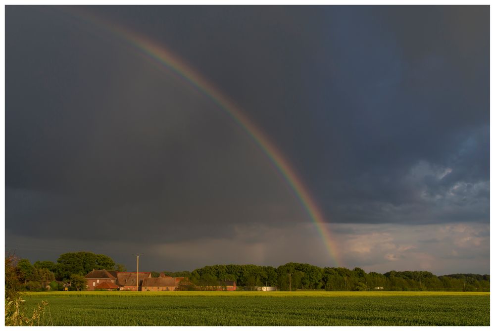 Emkumer Lichtspiele IV