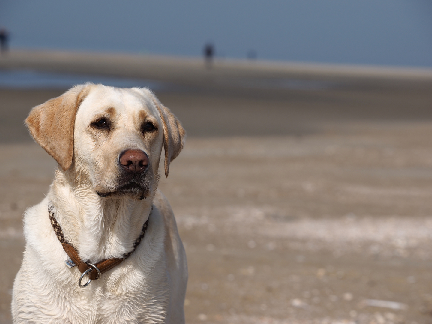 Emma am Strand