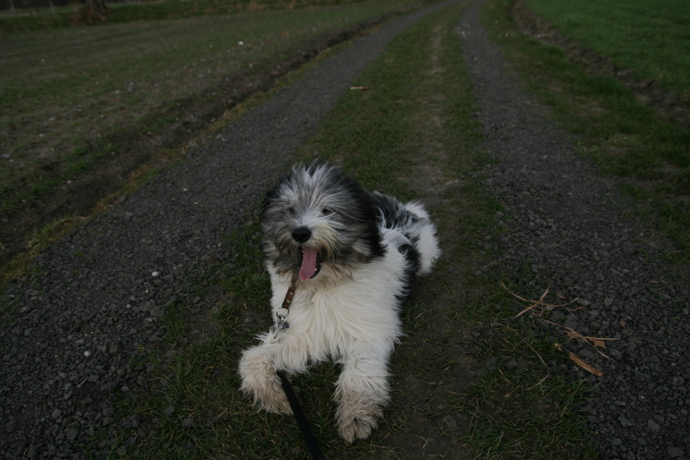 emma auf dem weg