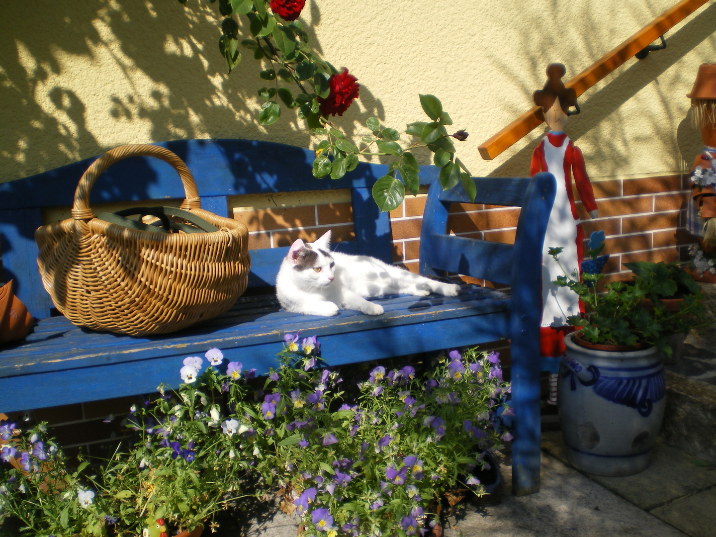 emma auf der blauen bank