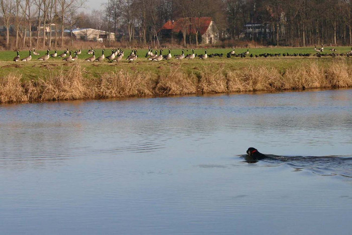 Emma auf Gänsefang!