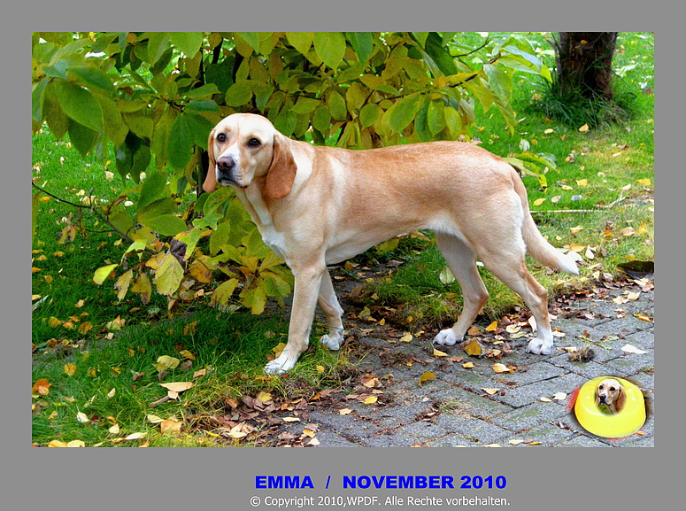 Emma aus Düsselorf-Hamm / November 2010