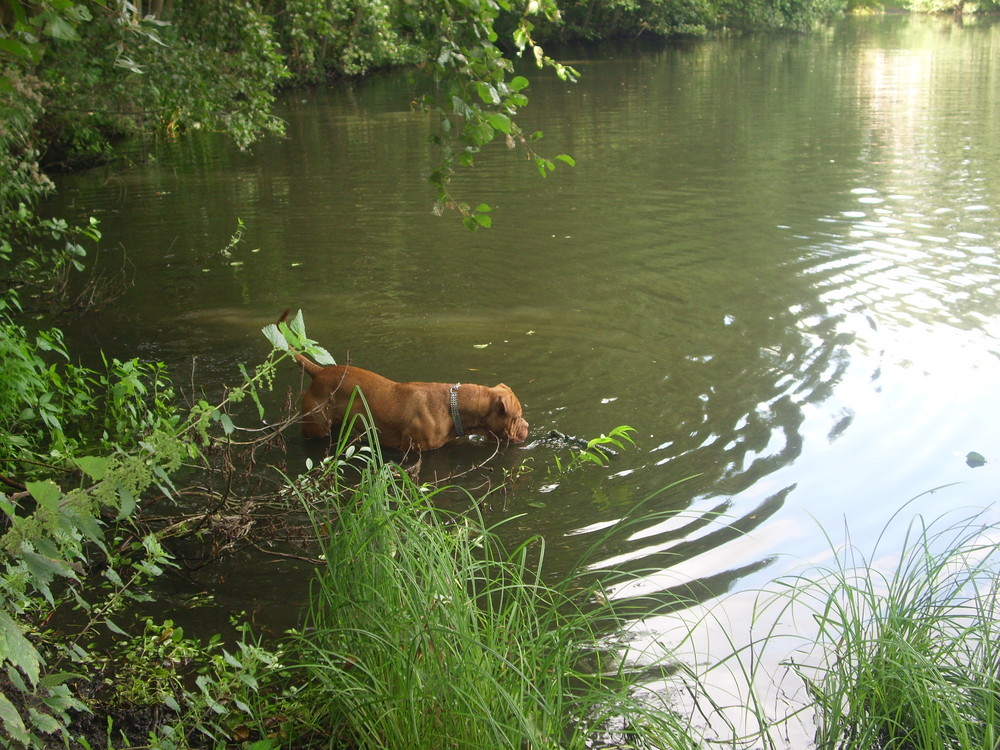 emma beim fischfang