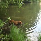 emma beim fischfang