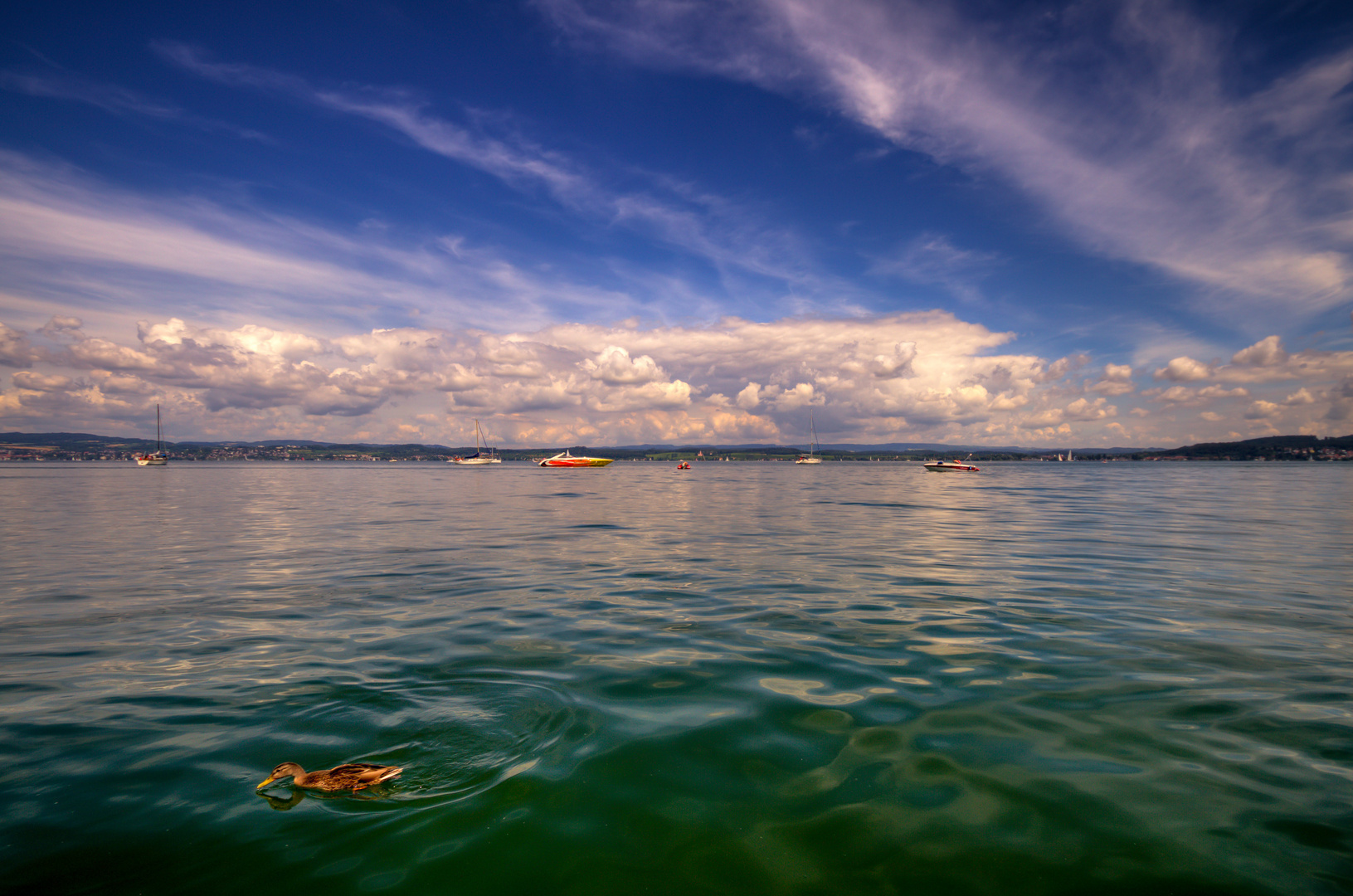 EMMA DIE BODENSEE-ENTE