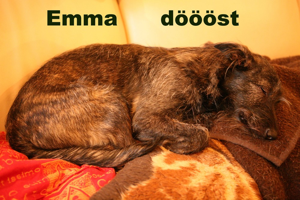 Emma döööst