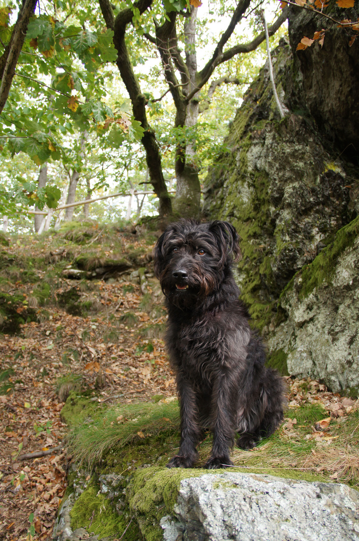 Emma im Wald