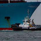 EMMA MAERSK / Container Vessel / Rotterdam