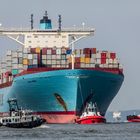 EMMA MAERSK - und das Empfangskomitee