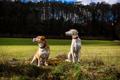 Emma und Charly