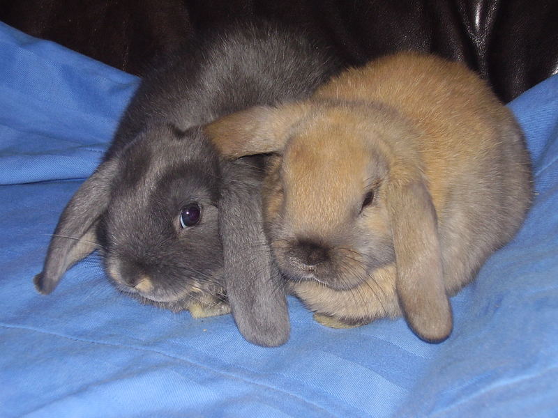 Emma und Paula