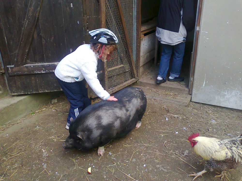 Emma und Schwein Urmel bei der Nachbarin Juni 2012