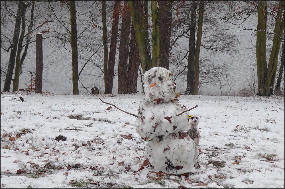 Emmas erster Schneemann ...