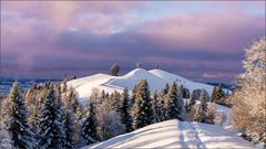 Emmental 1