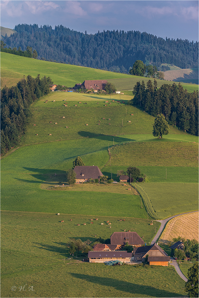 Emmental