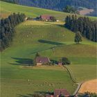 Emmental