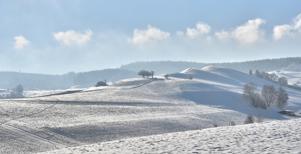 Emmental  