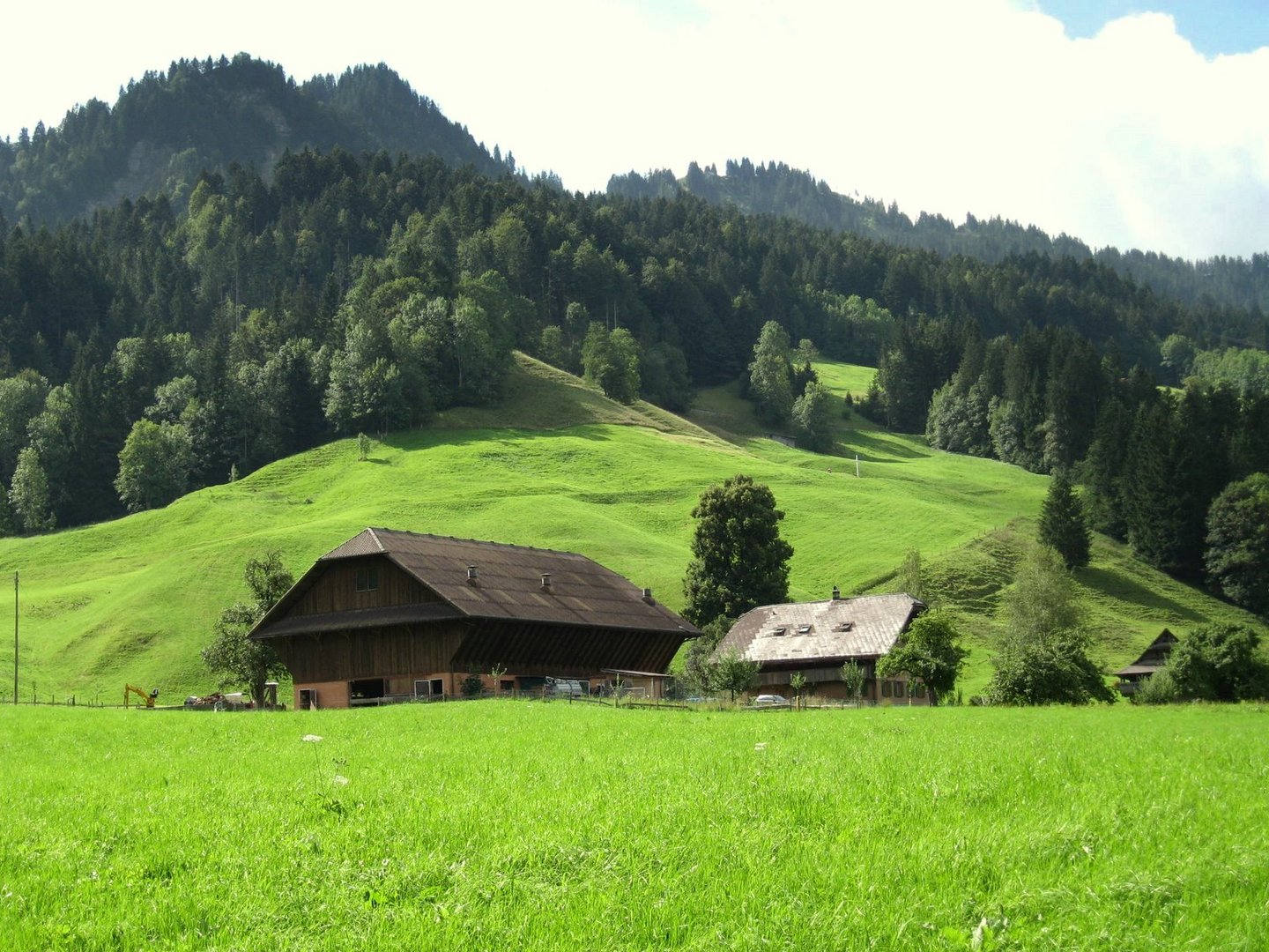 Emmental