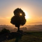 Emmental im goldenen Licht