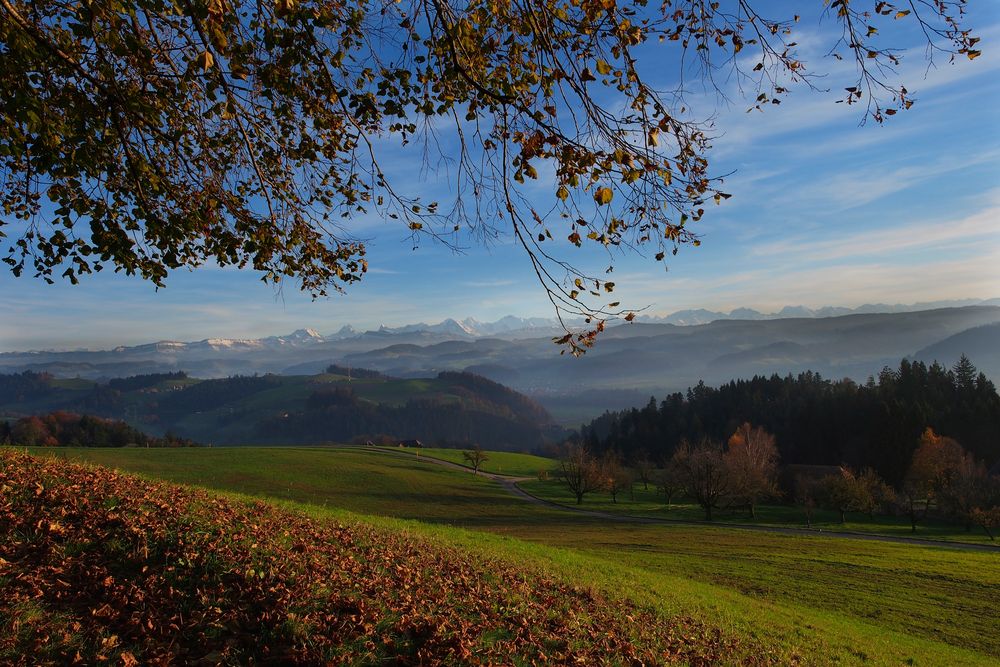 Emmental im Herbst