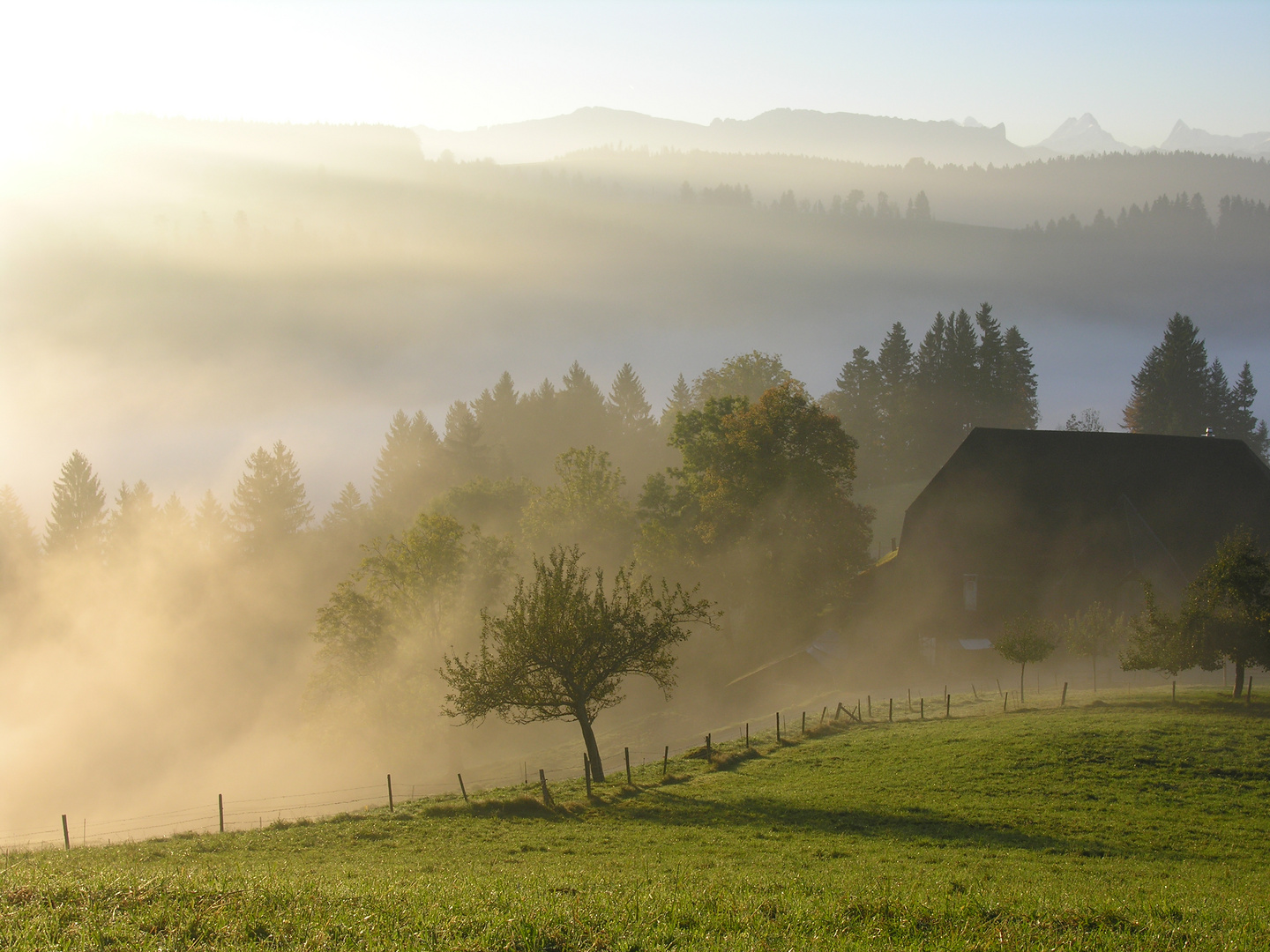 Emmental im Morgennebel