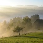 Emmental im Morgennebel