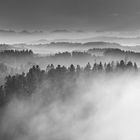 Emmental im Nebel