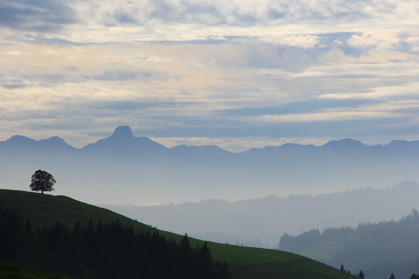 Emmental im Nebel