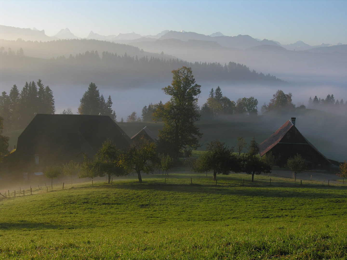 Emmental mit Morgennebel