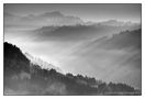 emmental morning by monochromo 