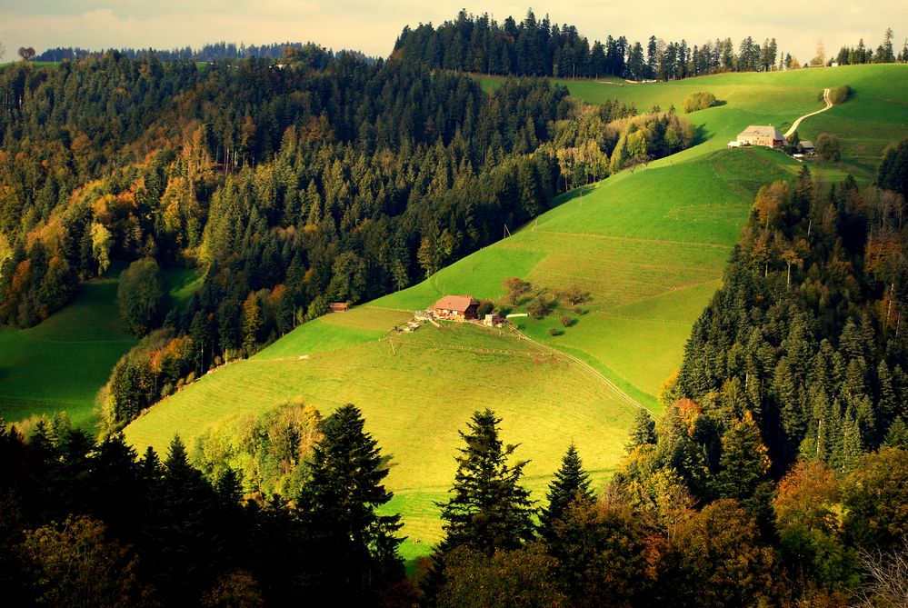 Emmental Schweiz Foto & Bild | landschaft, Äcker, felder & wiesen