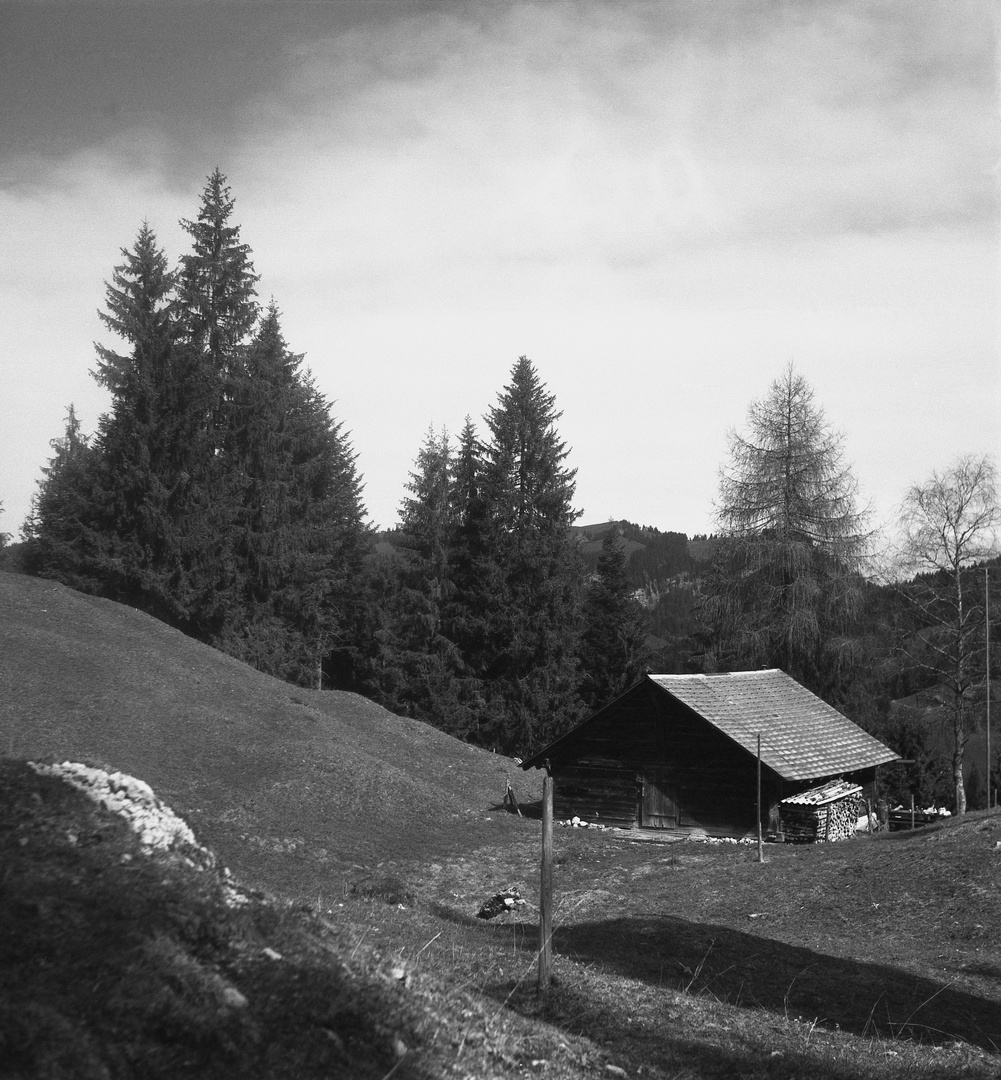 Emmentaler Alp