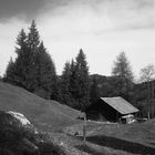 Emmentaler Alp