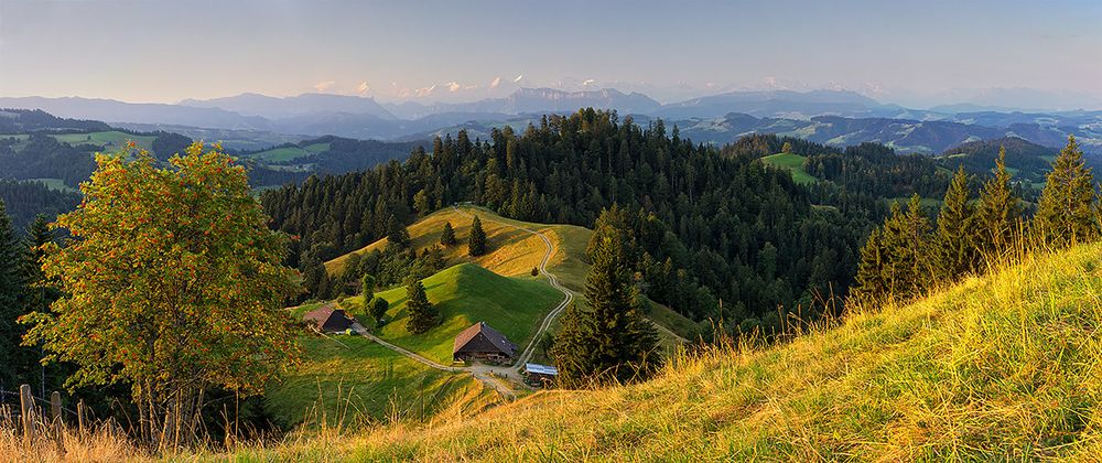 Emmentaler Morgenfrische