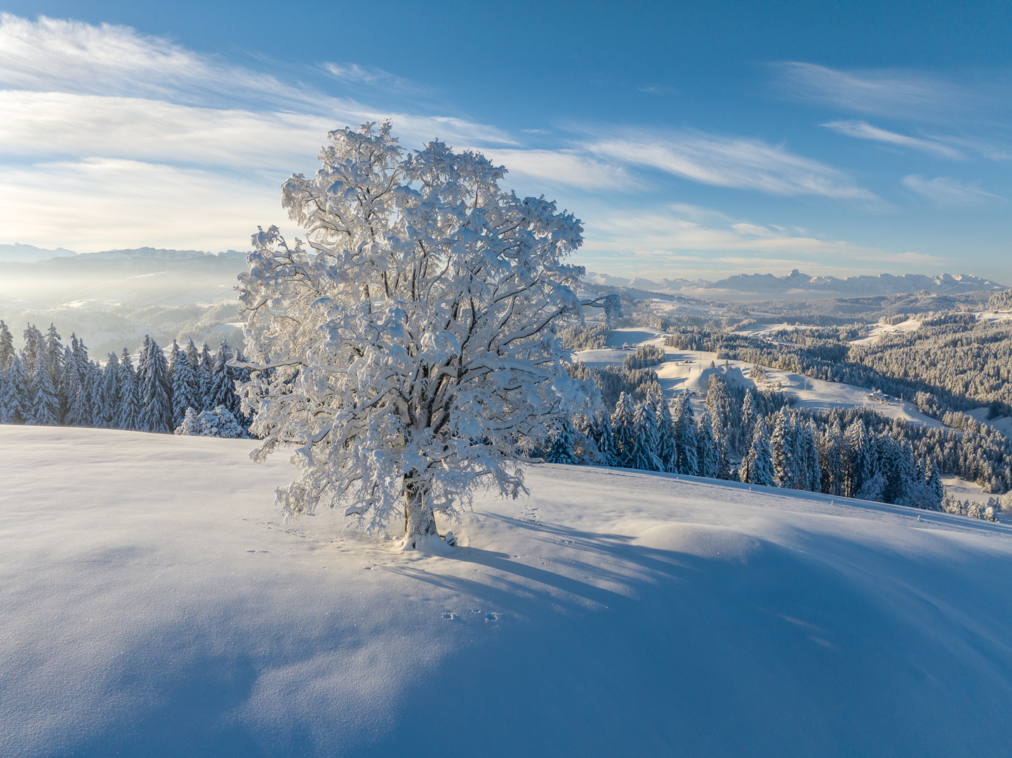 Emmentaler Winter