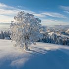 Emmentaler Winter