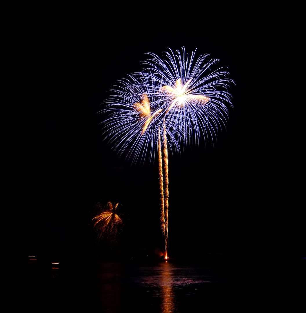 Emmerich unter Palmen im Lichterglanz - Feuerwerk 2014